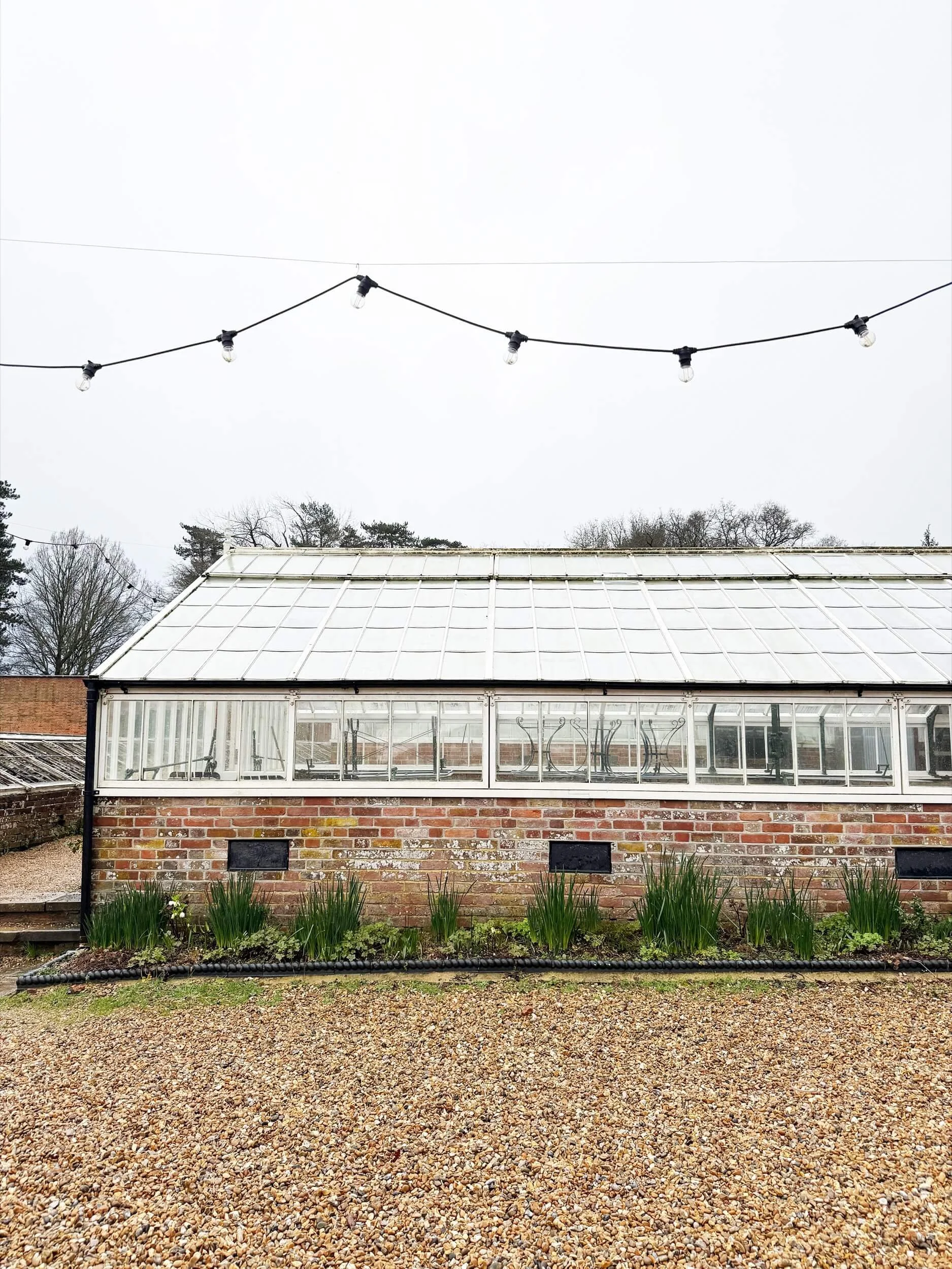 Water Lane-imogen-partridge-illustration-and-design.jpg