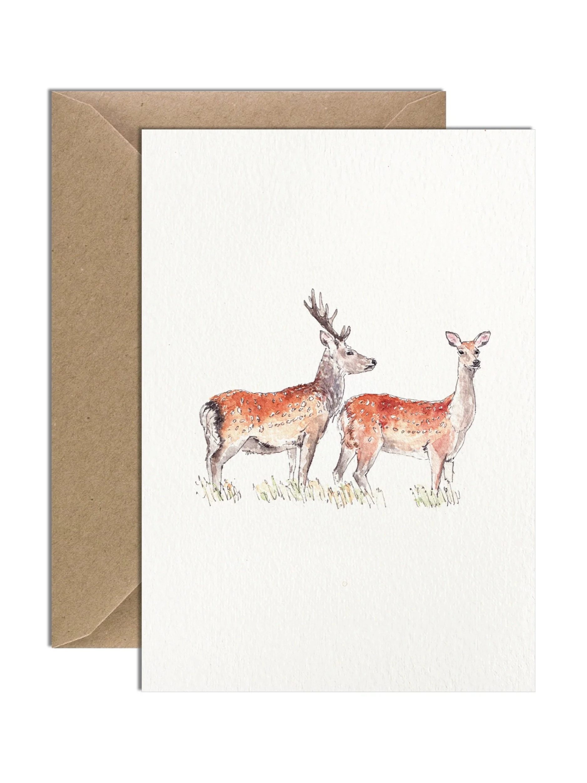 IP-C-BRI-07-Sika Deer Card-imogen-partridge-illustration-and-design.jpg