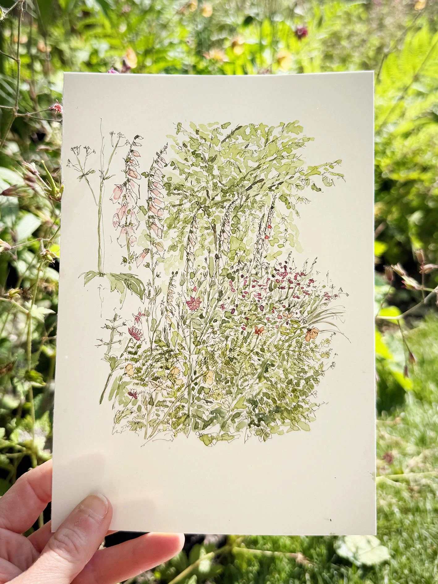 RHS Chelsea Flower Show-Glasshouse Garden Finished-imogen-partridge-illustration-and-design.jpeg