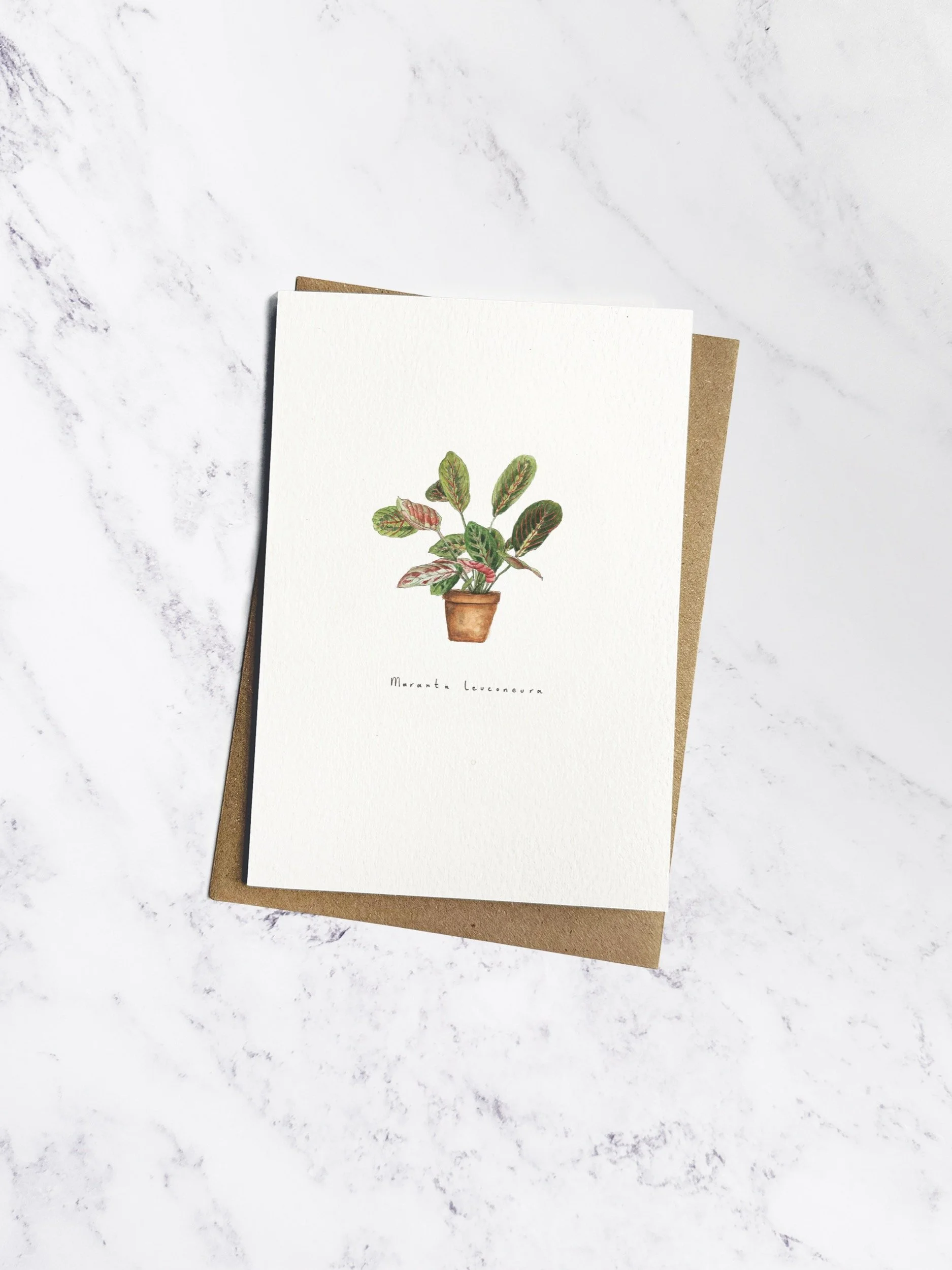 A delicate watercolour illustration of a Maranta Leuconeura (Prayer Plant) with its patterned red veined green leaves, in a terracotta pot. The off white card has a brown kraft envelope tucked behind.