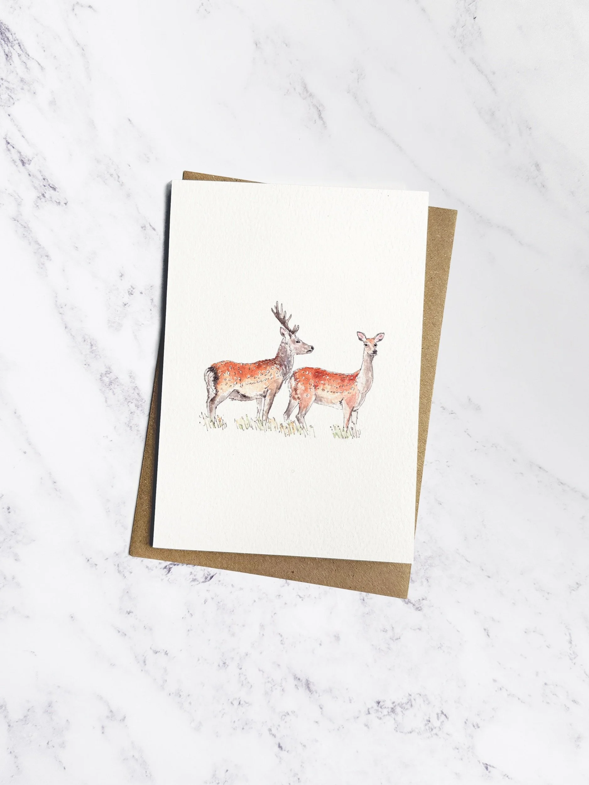 IP-C-BRI-07-Sika Deer-imogen-partridge-illustration-and-design.jpg