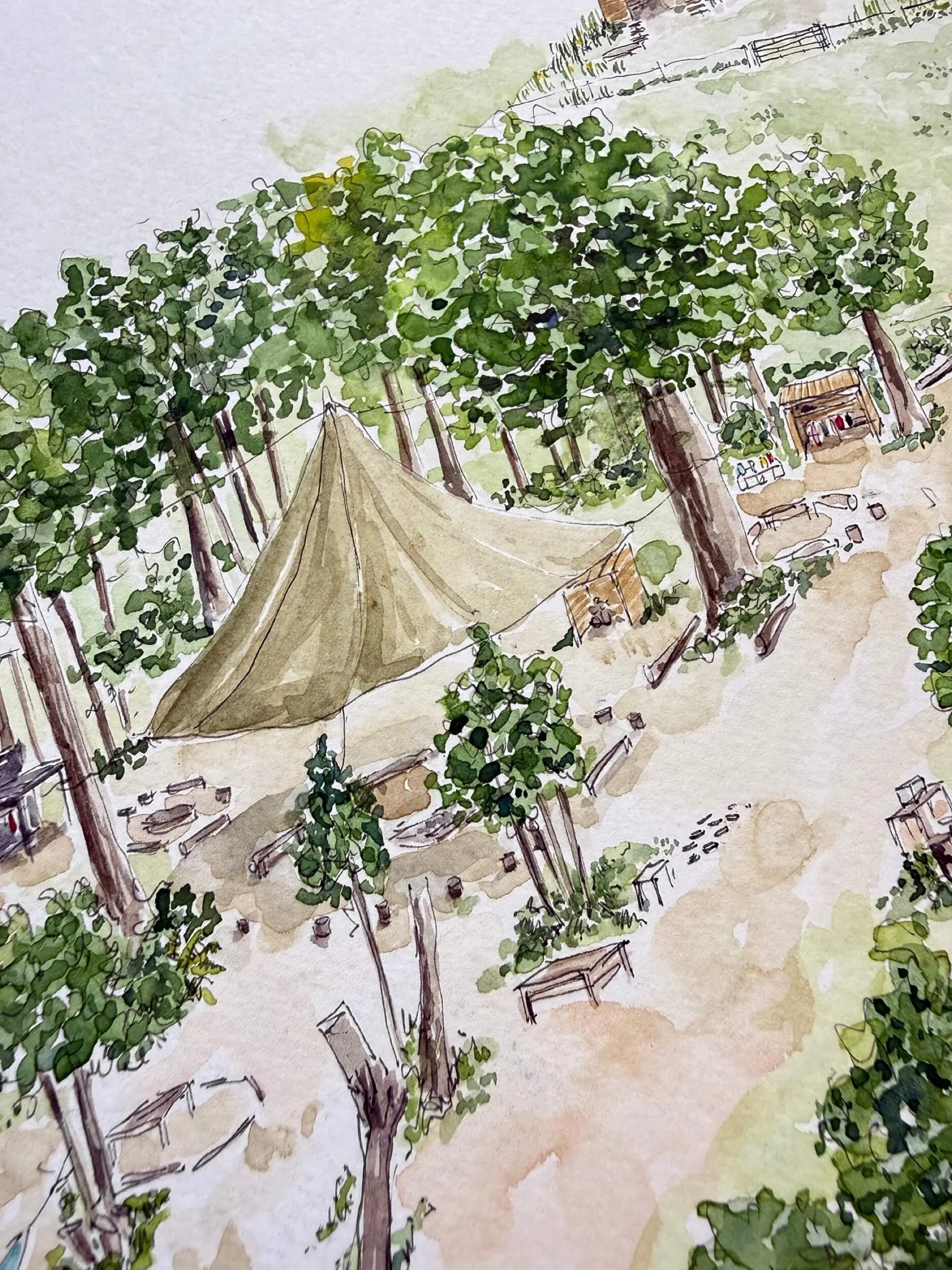 Rain or Shine Forest School-Photo 01-imogen-partridge-illustration-and-design.jpg