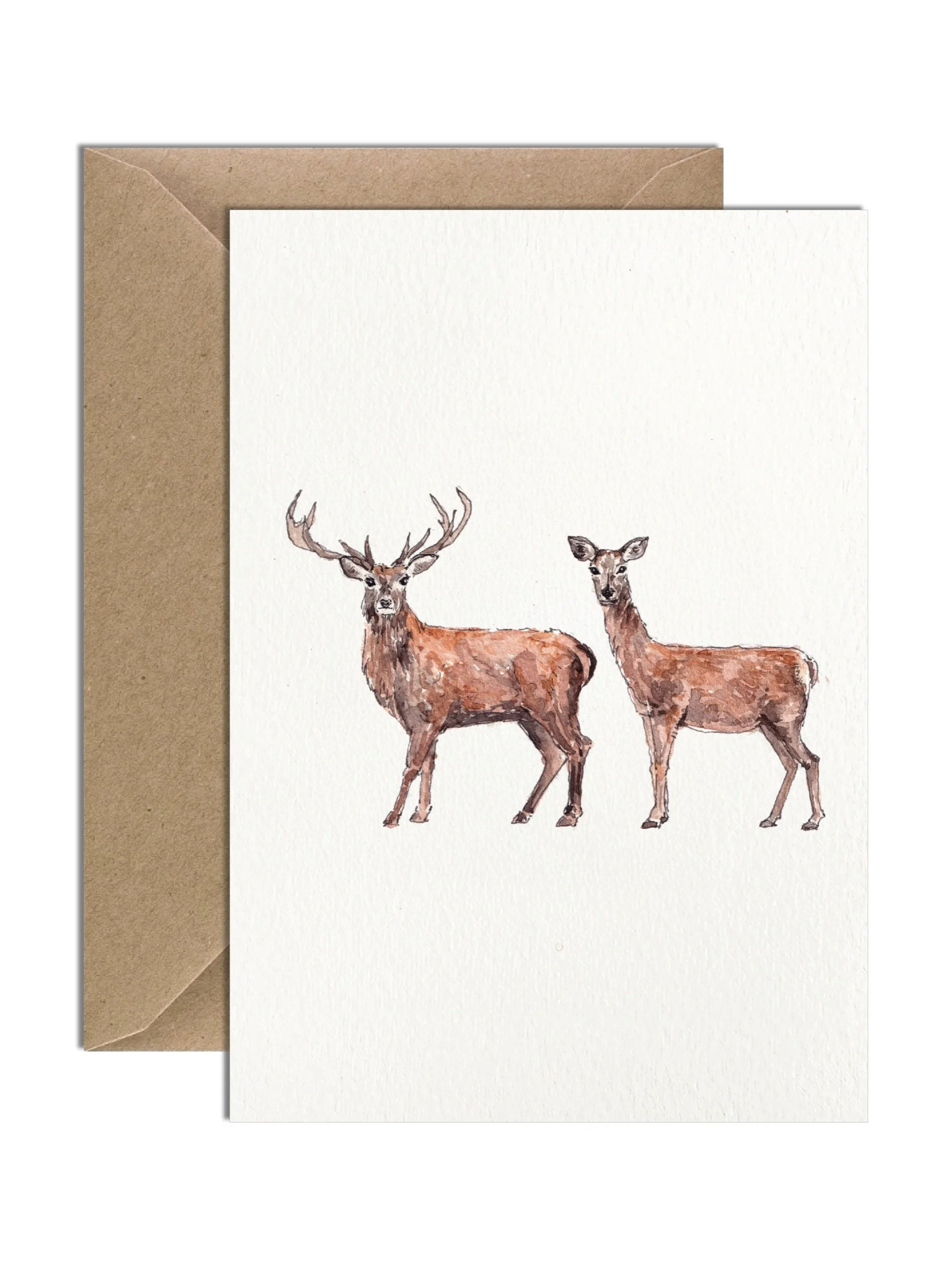 IP-C-BRI-05-Red Deer Card-imogen-partridge-illustration-and-design.jpg