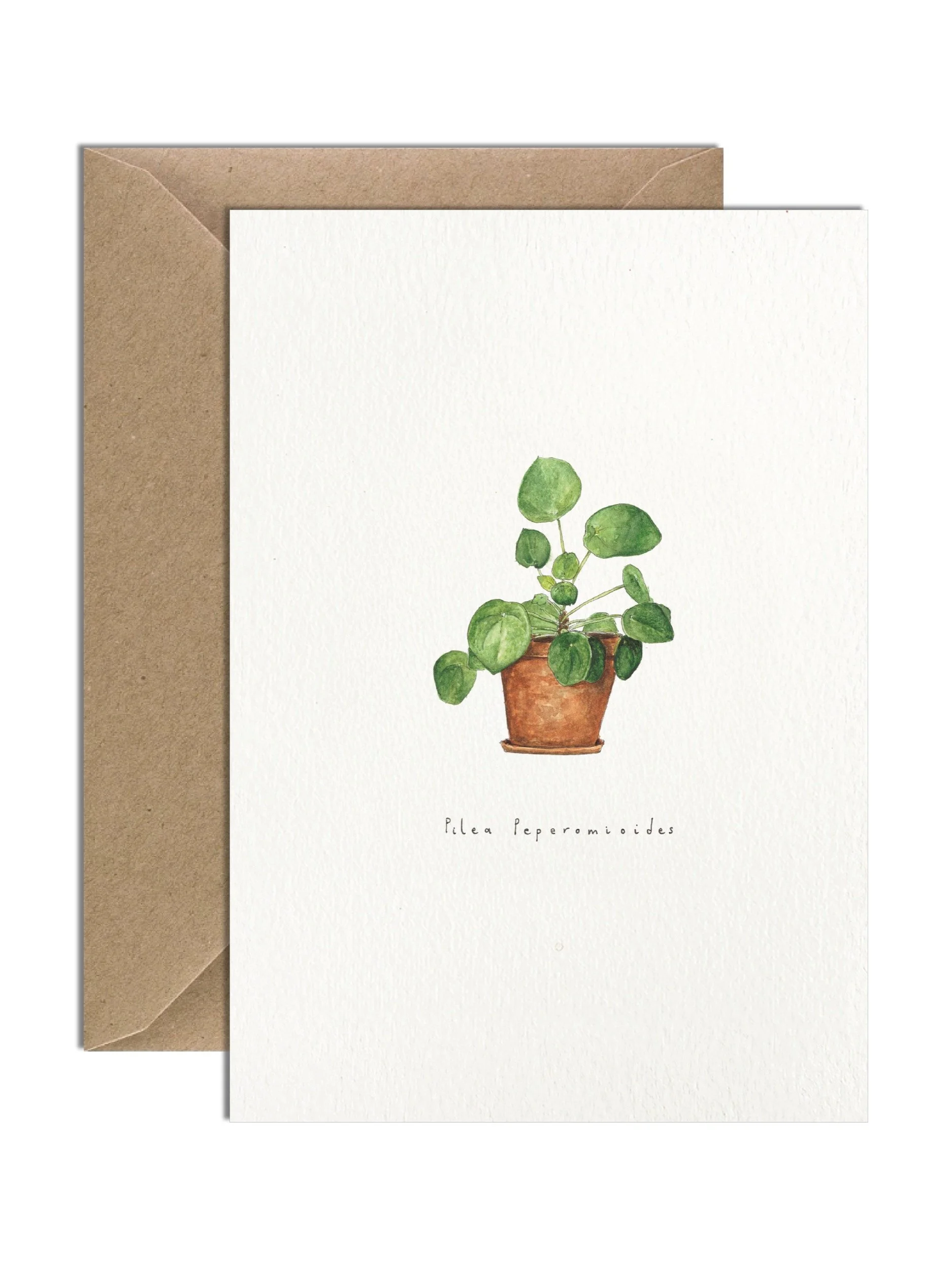 Watercolour illustration of a Pilea Peperomioides in a terracotta pot, with round, coin-like leaves. Off-white greetings card with a brown kraft envelope tucked behind.