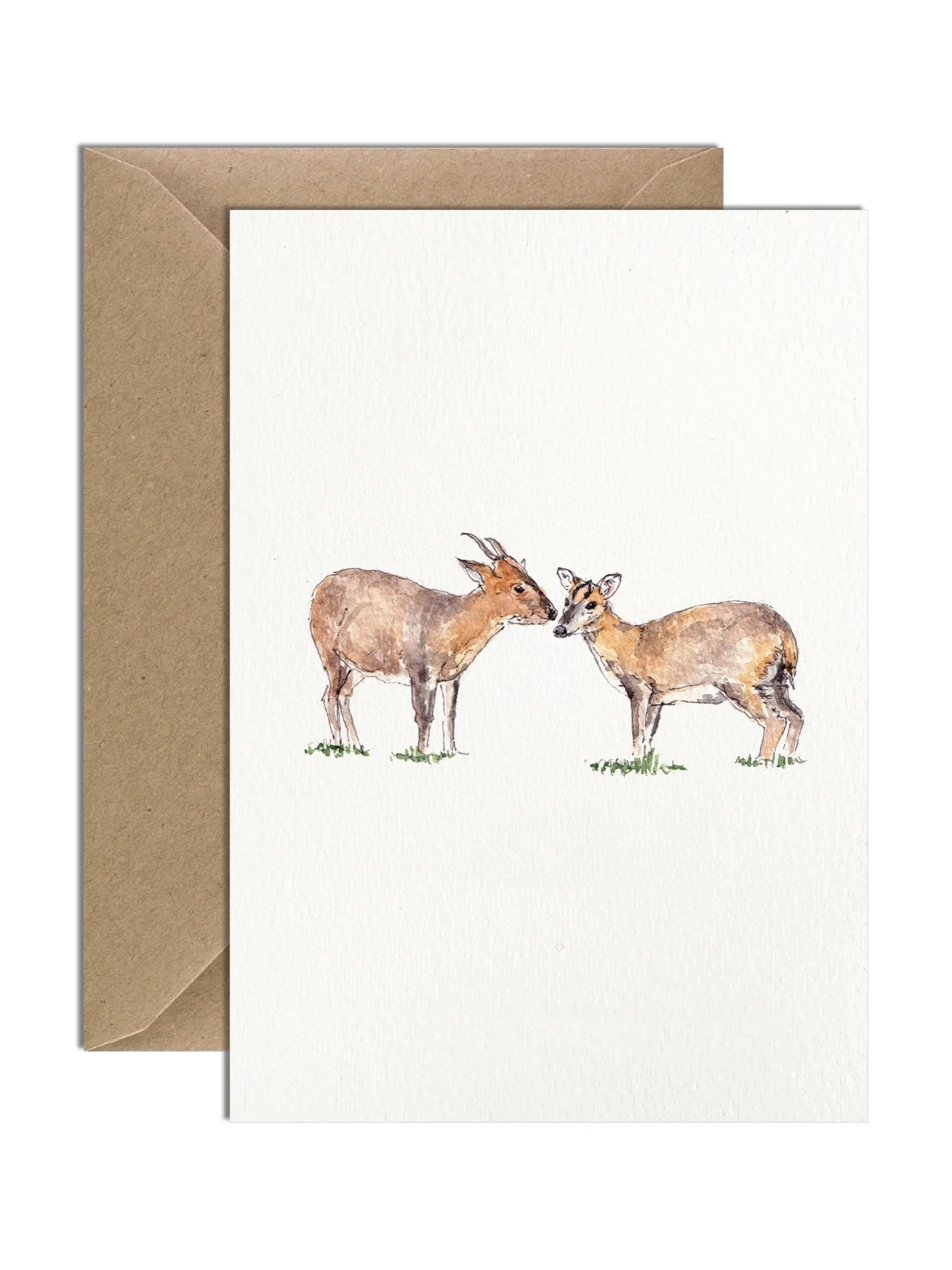 IP-C-BRI-08-Muntjac Deer Card-imogen-partridge-illustration-and-design.jpg