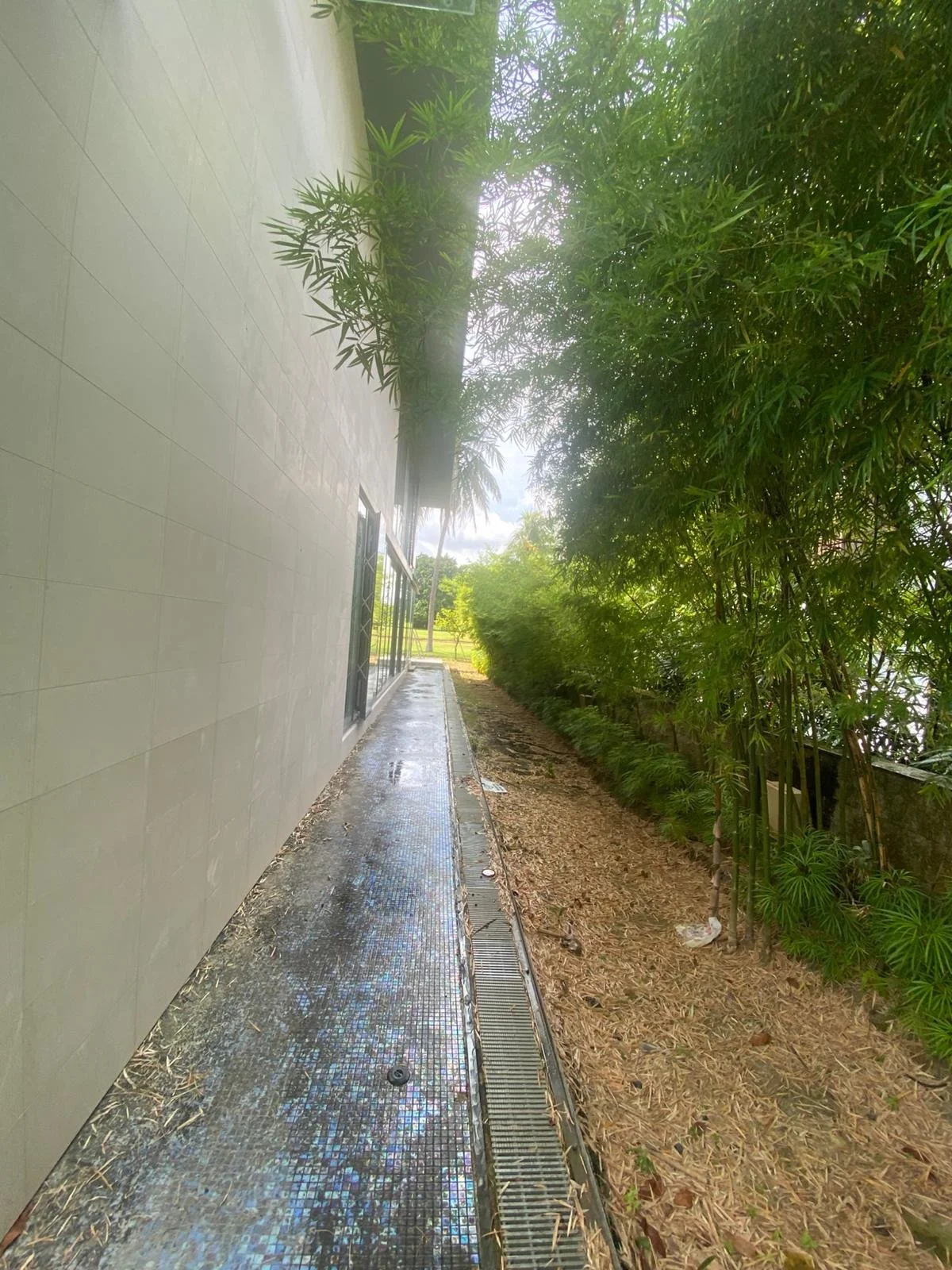 WhatsApp Image 2025-12-18 at 1.34.42 PM.jpeg