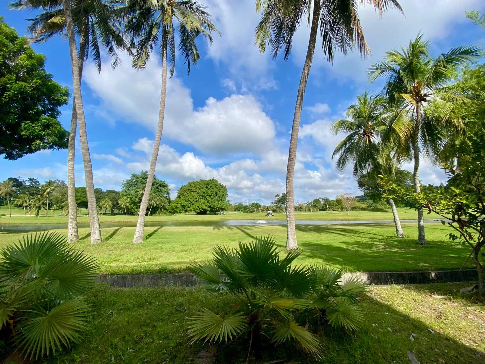 WhatsApp Image 2025-12-18 at 1.32.25 PM - Copy.jpeg