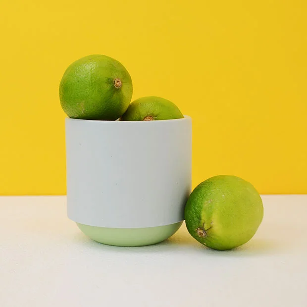 Duckceramics_0024_DSC_3276.jpg