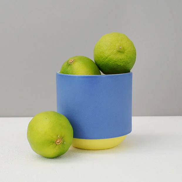 Duckceramics_0000_DSC_3250.jpg