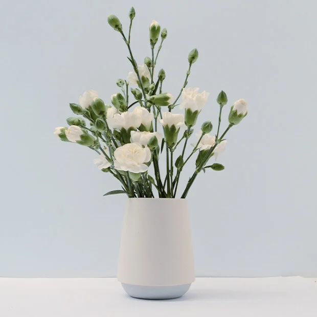 Duck_Ceramics_grey_jug_flowers.jpg