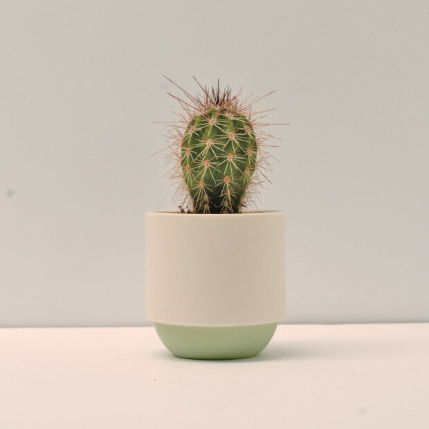 Duck_Ceramics_green_pot_small_cactus.jpg