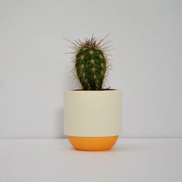 Duck_Ceramics_orange_small_cactus.jpg
