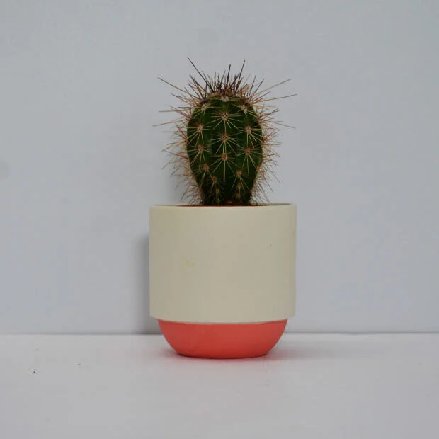 Duck_Ceramics_red_small_Pot_cactus.jpg