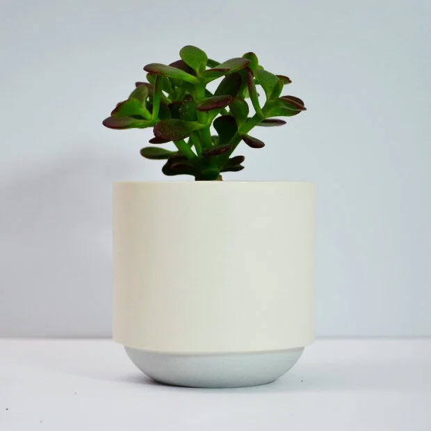 Duck_Ceramics_grey_large_pot_plant.jpg