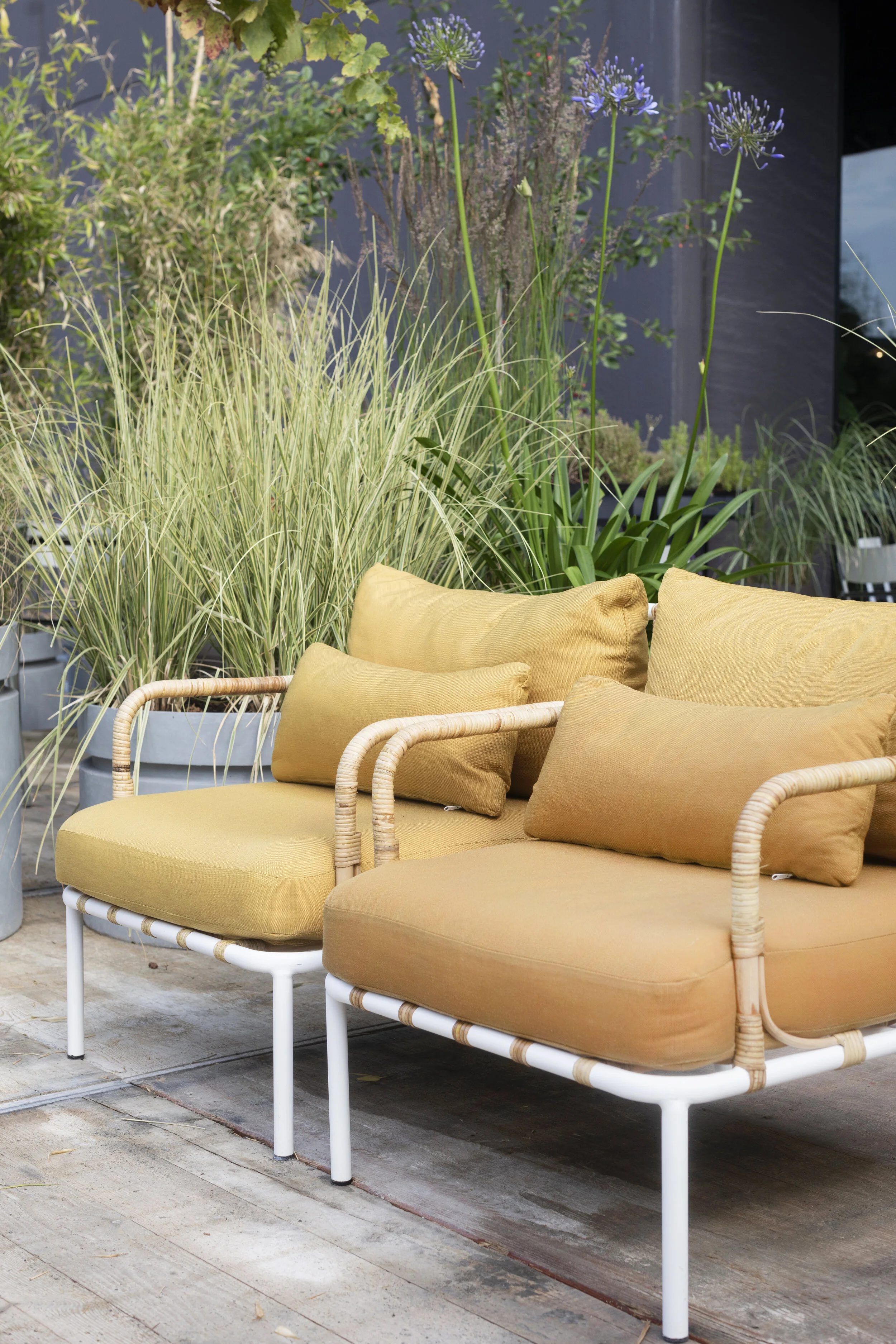 The outdoor edition 
