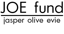 JOE fund.png