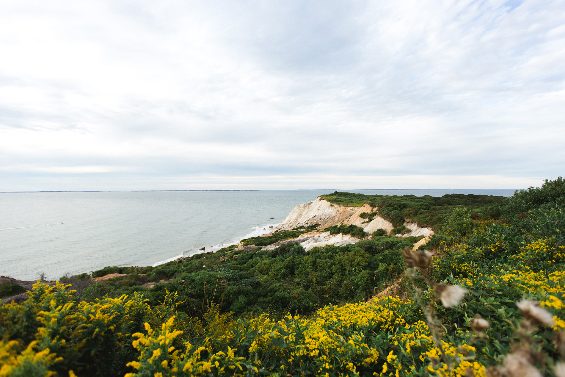 29-gay-head-lightouhouse-marthas-vineyard-same-sex-wedding.jpg