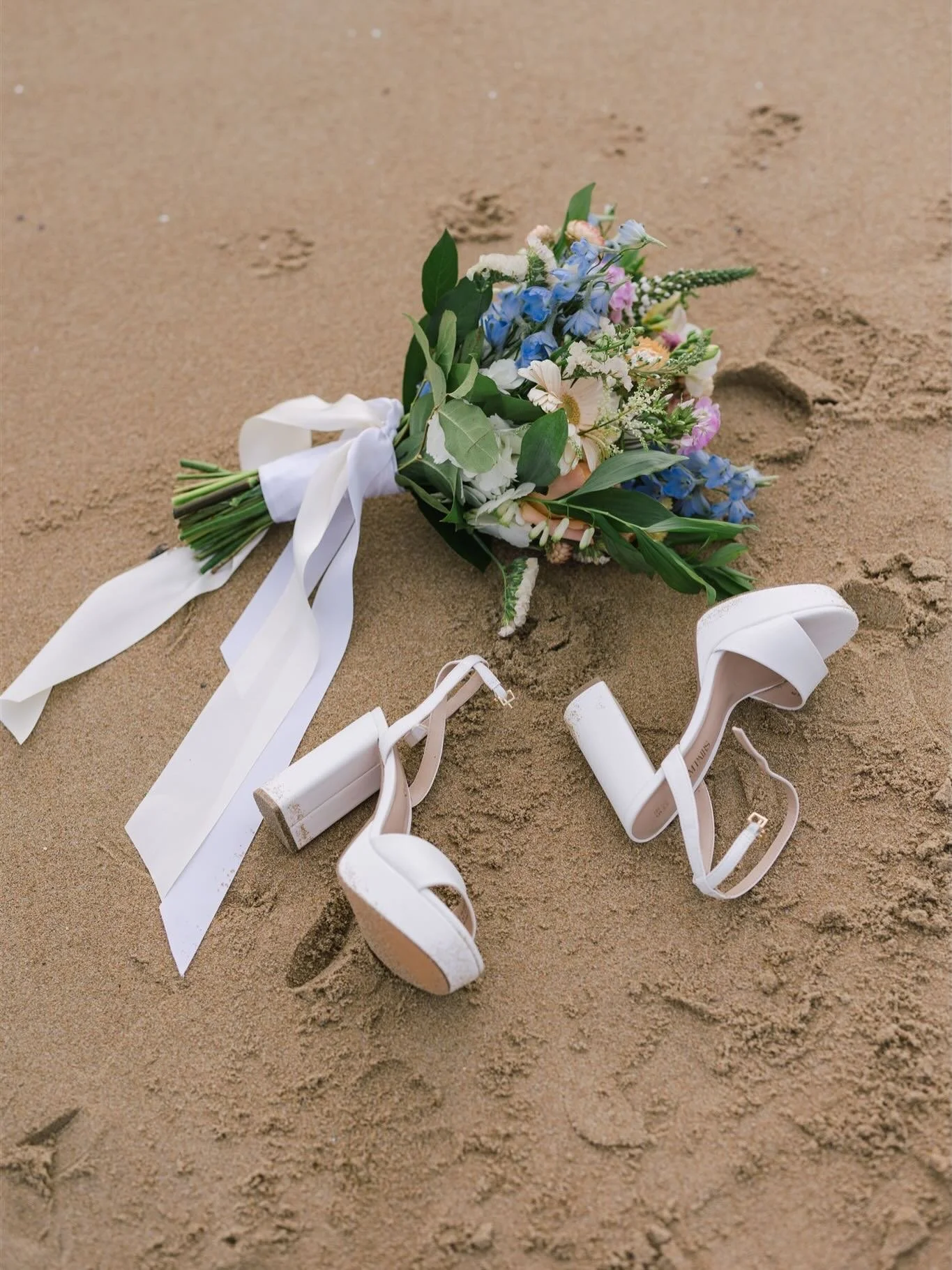A rainy day that gave way to an empty Singing Beach and the most beautiful blue skies for Savannah &amp; Nas&rsquo; intimate ceremony. And, I got to pet their cat! A perfect day for two beautiful humans! Congrats to you both ❤️