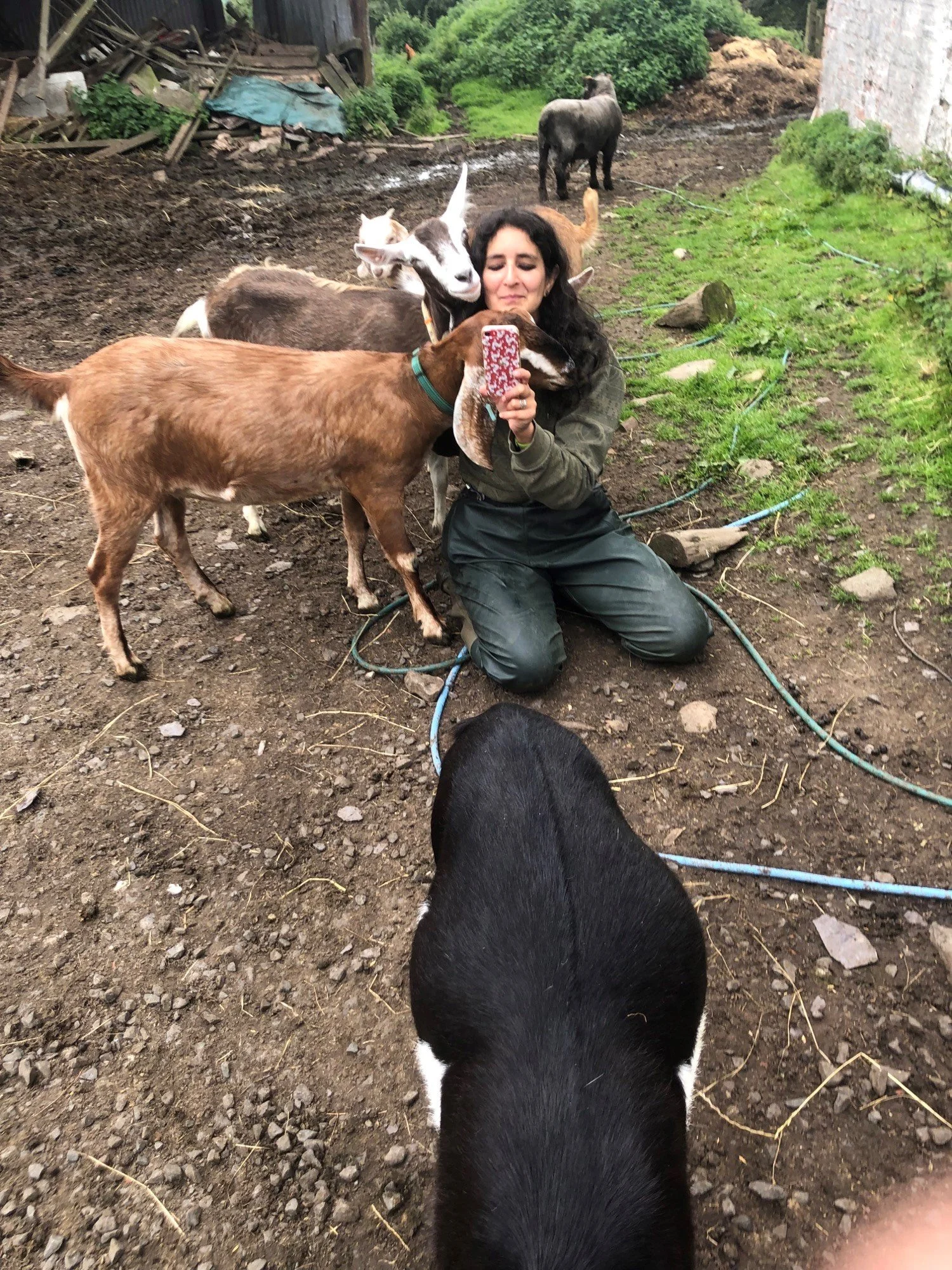 Sophie beingphotobombed.jpg