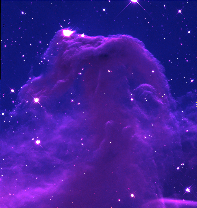 Gwyn's horsehead nebula.png