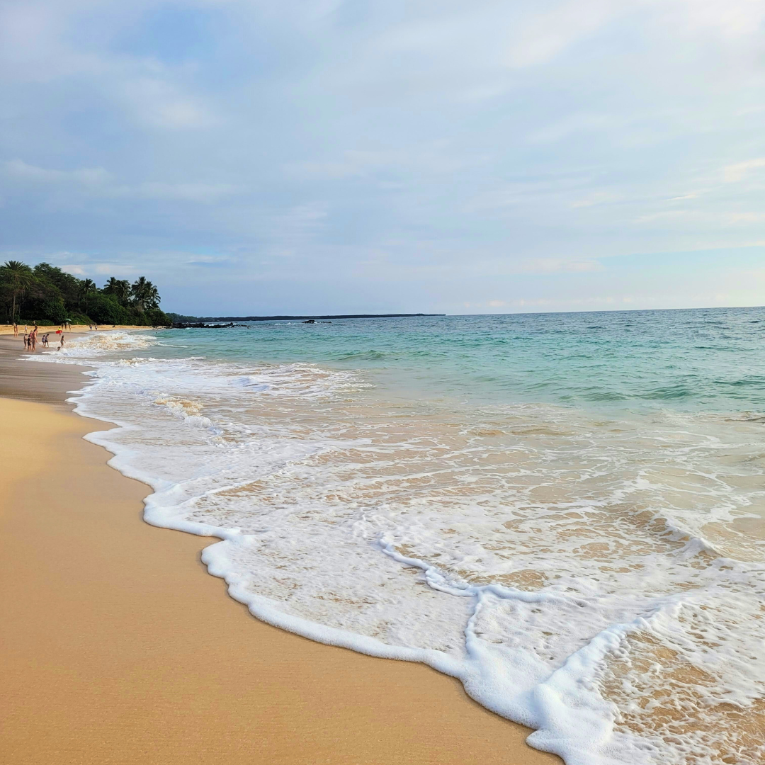 Copy of Mailerlite - Email Photo Squares (7).png