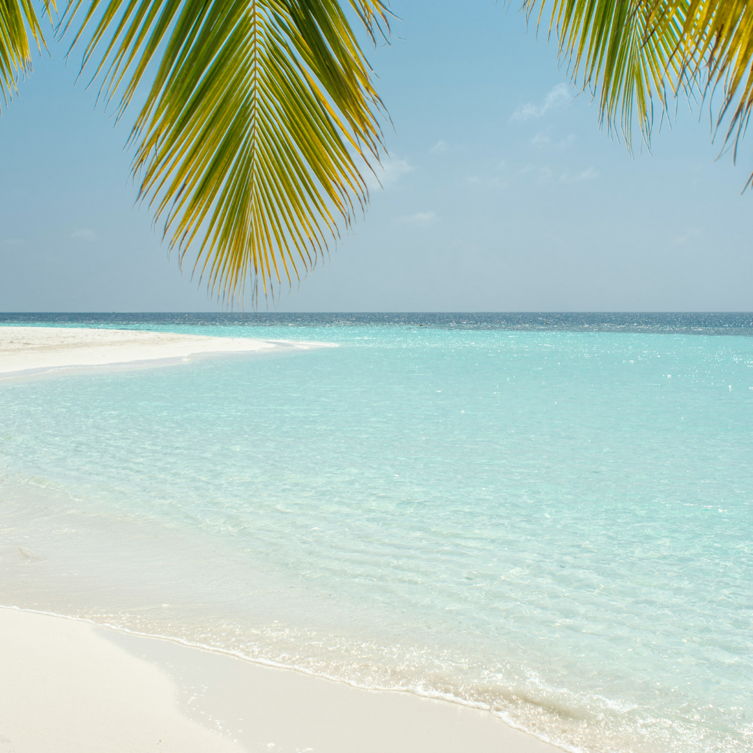 Why Book Spring Break in August