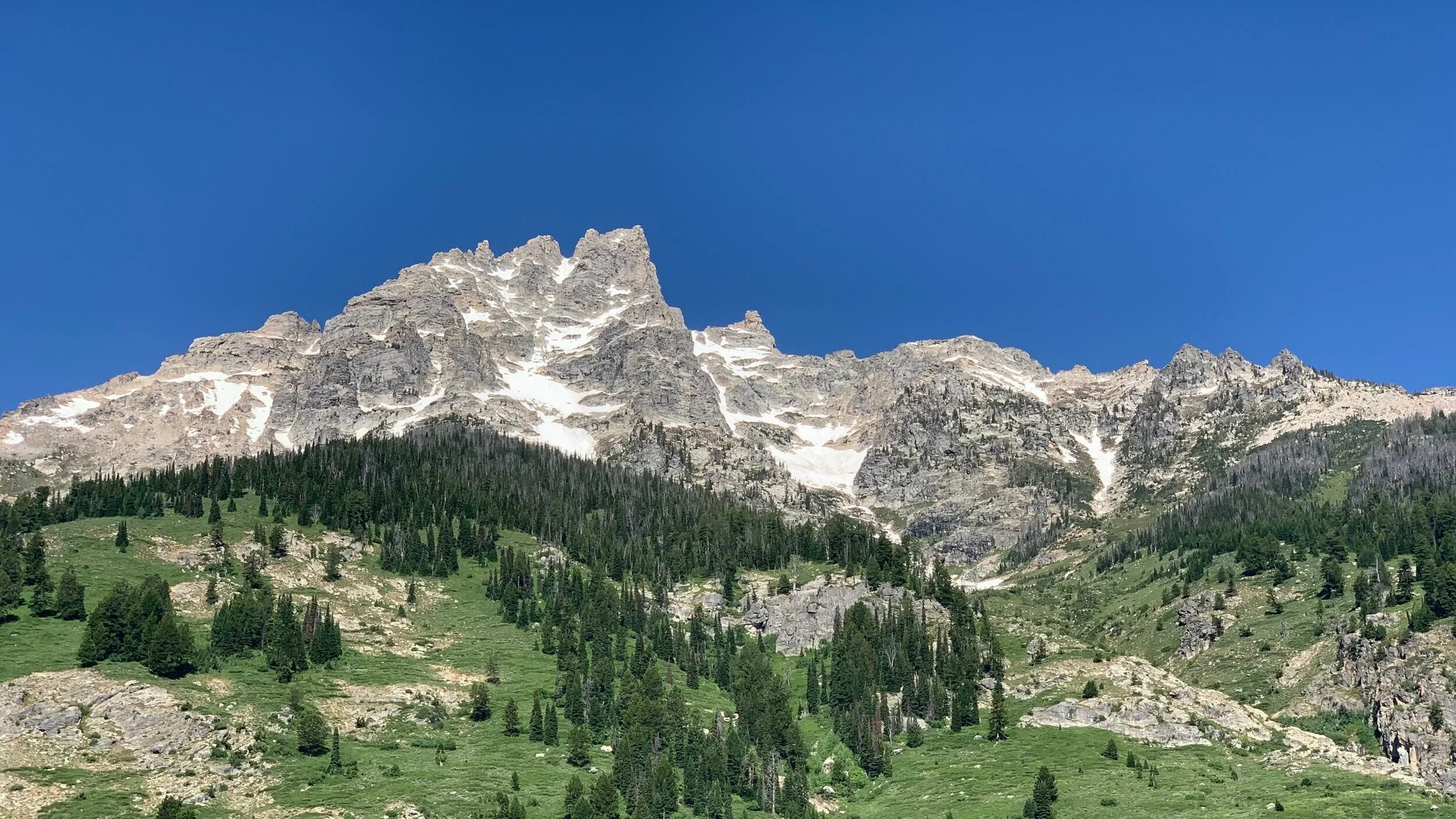 Tetons+and+Green.jpg