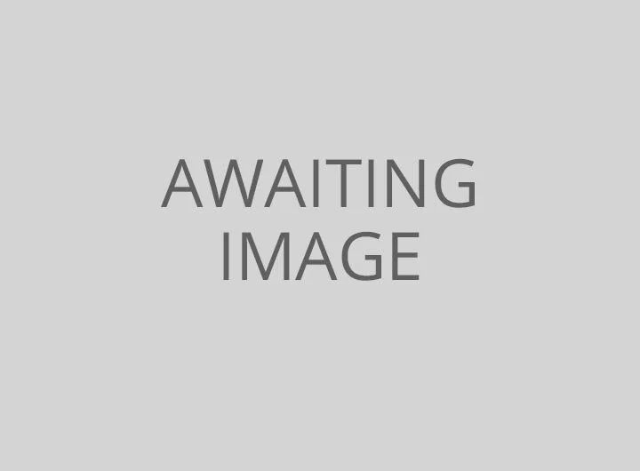 awaiting-image.jpg