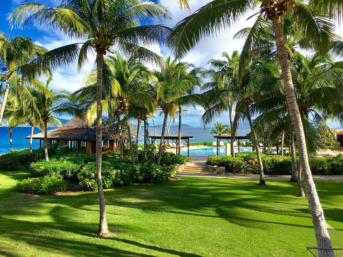 palm-trees-bermuda-grass-caribbean-resort