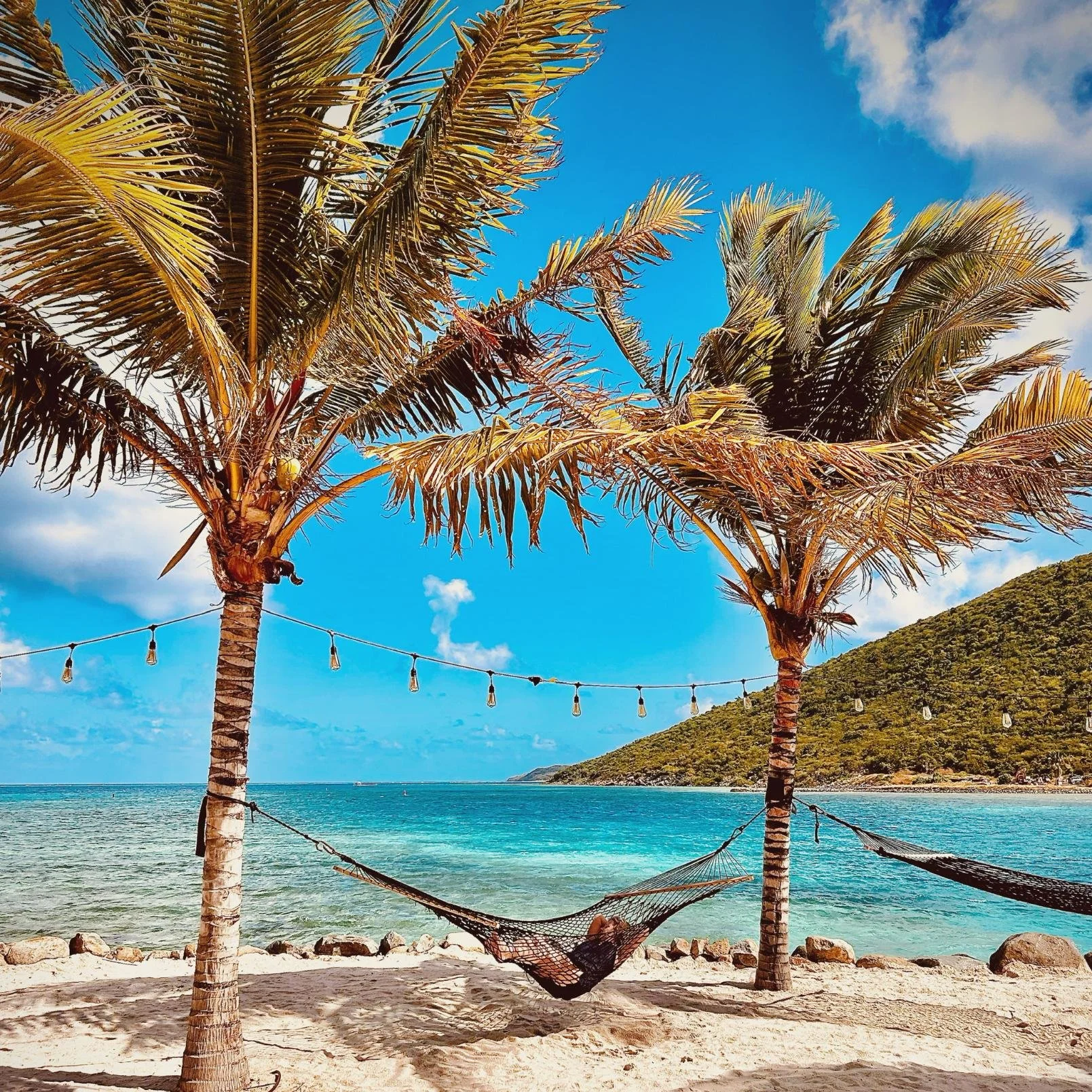 palm-trees-bvi-beaches.jpg