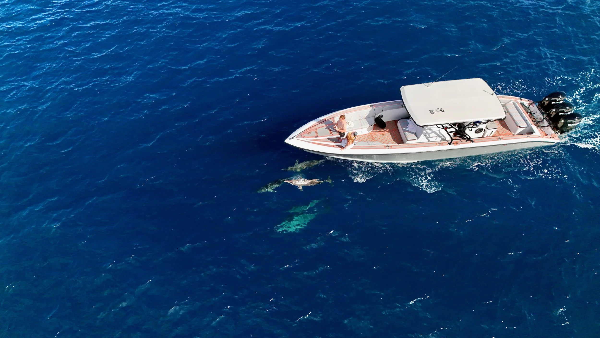  40ft Custom Midnight Express