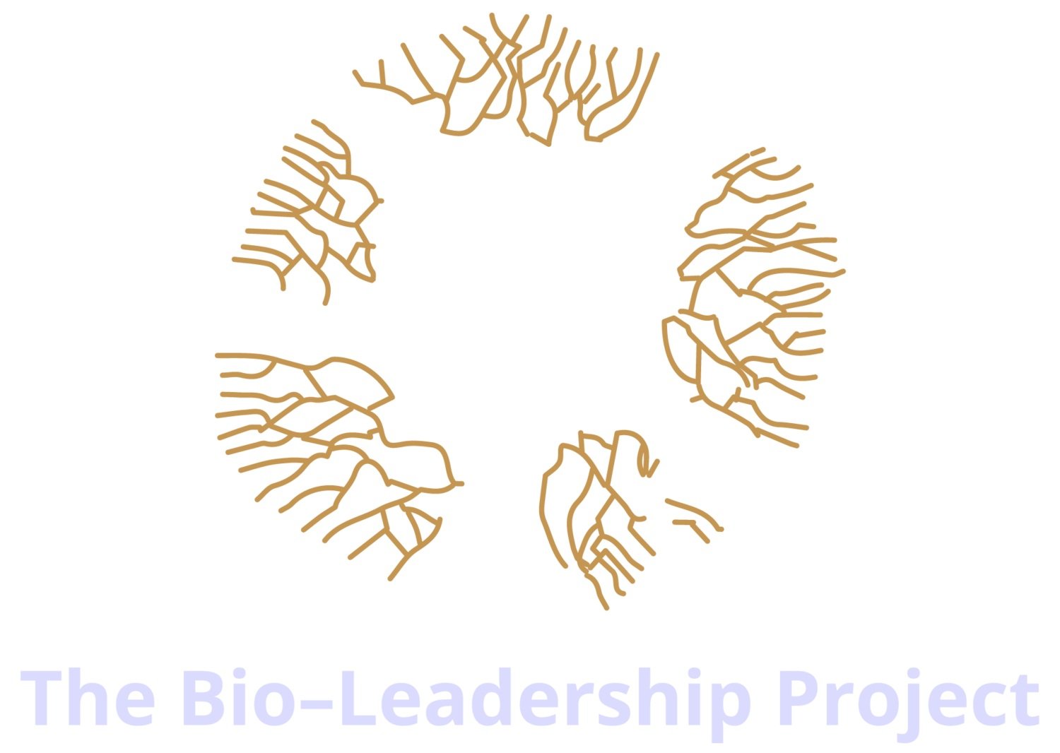 BLP+logo.jpg
