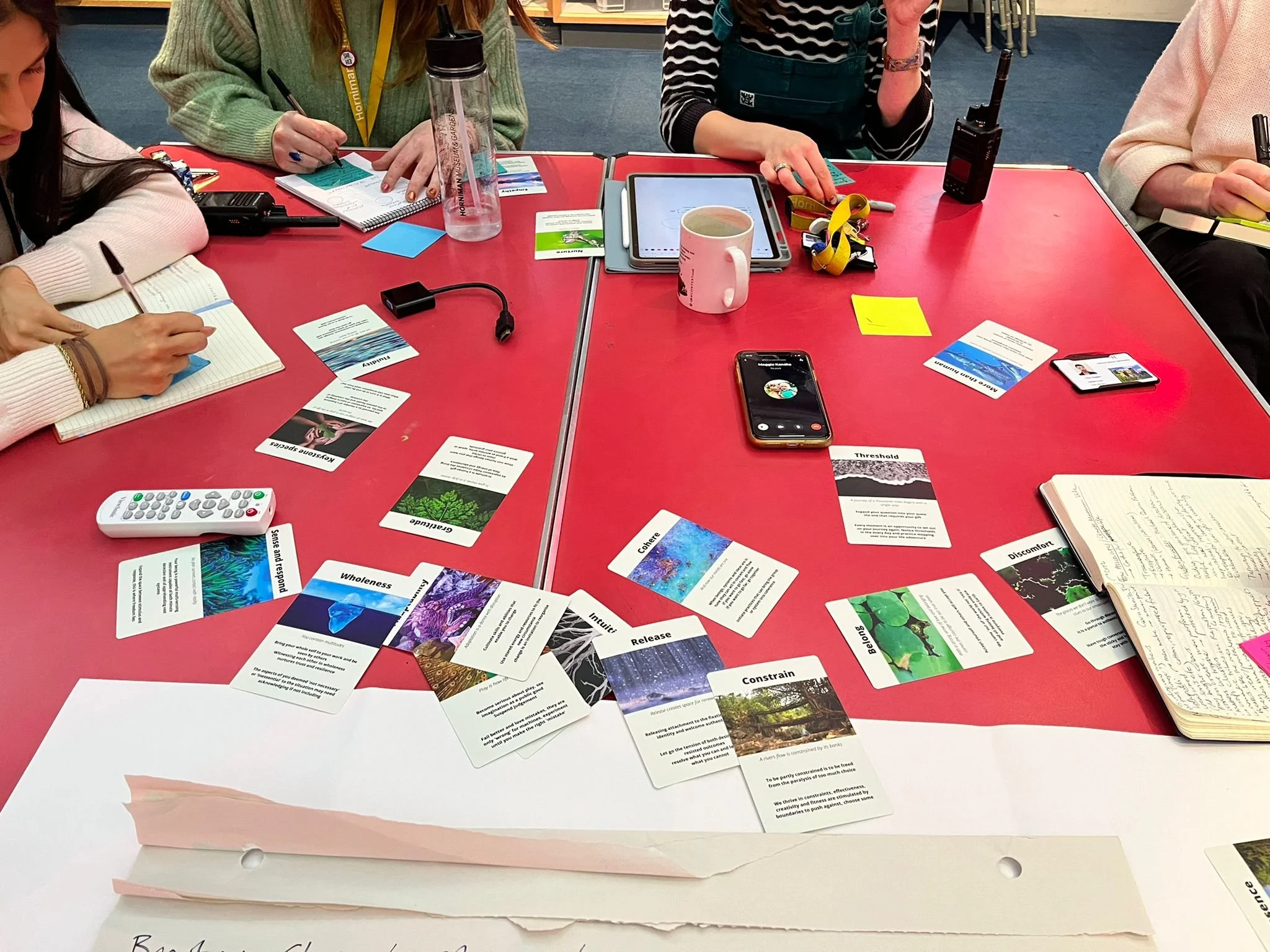 WhatsApp Image 2022-11-15 at 18.27.19.jpeg