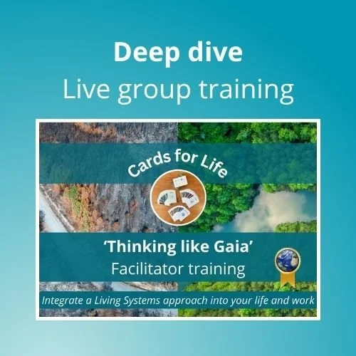 Live facilitator training course + card deck (7 live sessions September 25 - Nov 6)