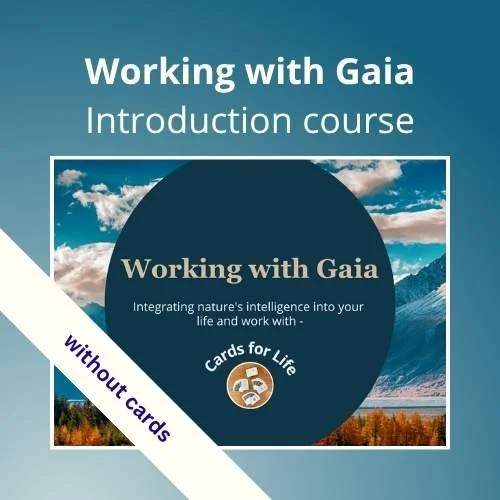 Working with Gaia shop without.jpg