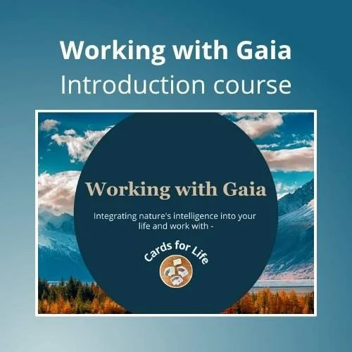 Working with Gaia shop banner.jpg