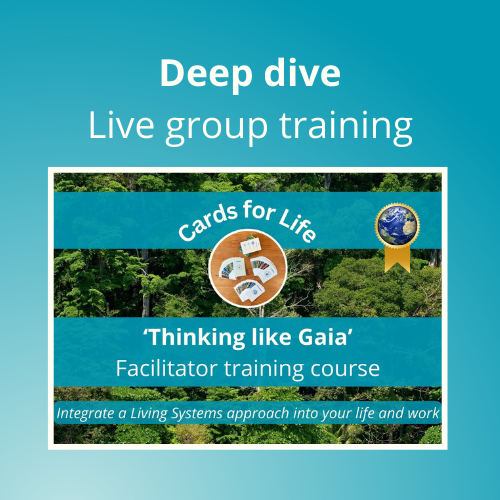 Live practitioner training course + card deck (6 live sessions Jan 29th - March 12th)