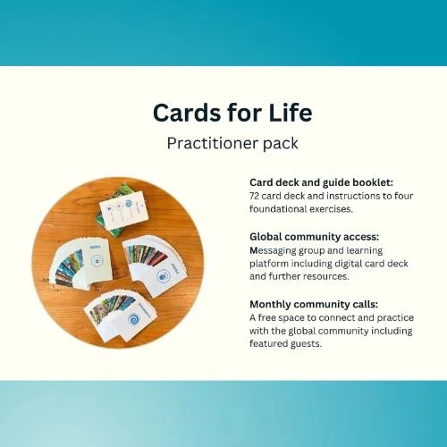 practitioner pack includes.jpg