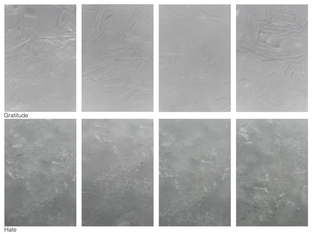 The Language of Water