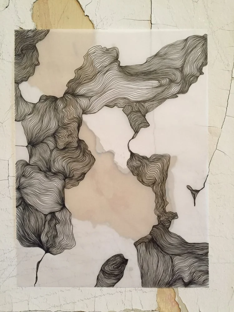 Drawings from House 5B Inspection Scrolls