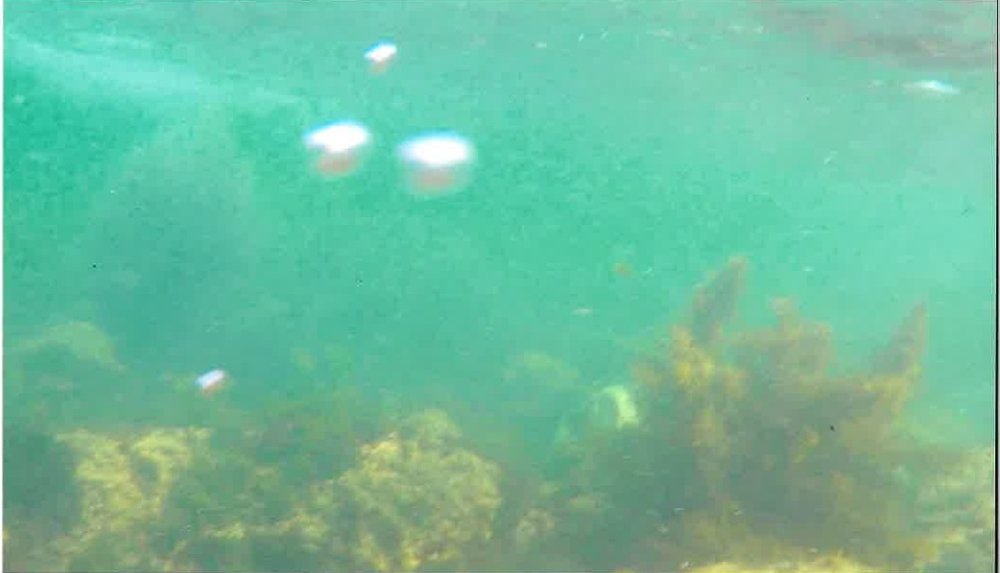 mool, soom (water, breath)