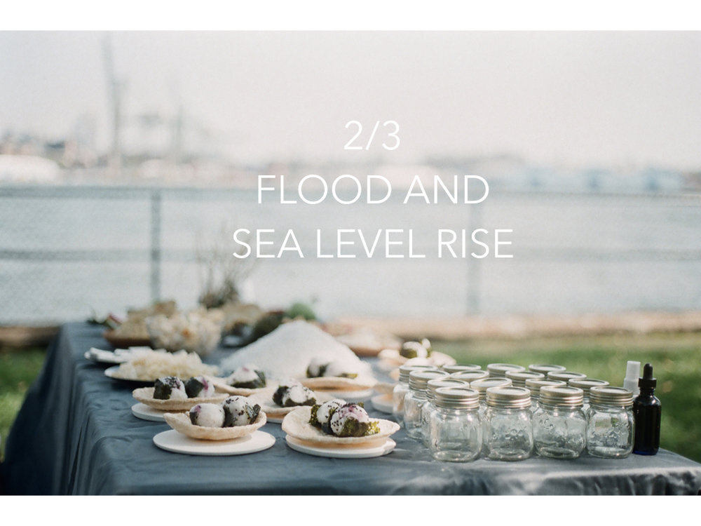 Eating+water+draft.007.jpeg