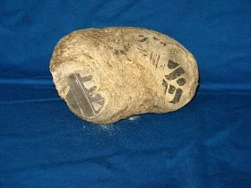 Hebrew Newspaper Fossil