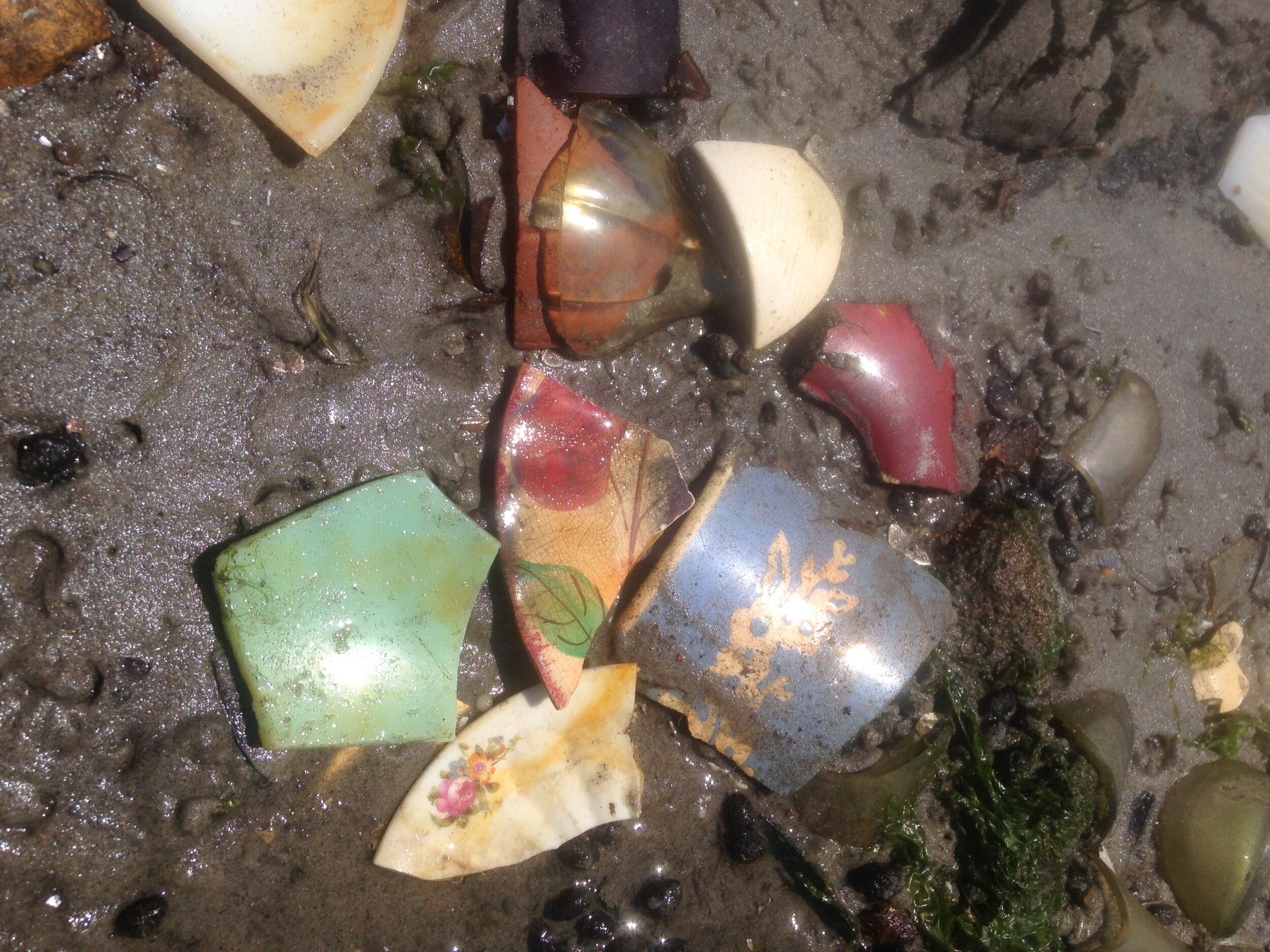 Pottery Shards