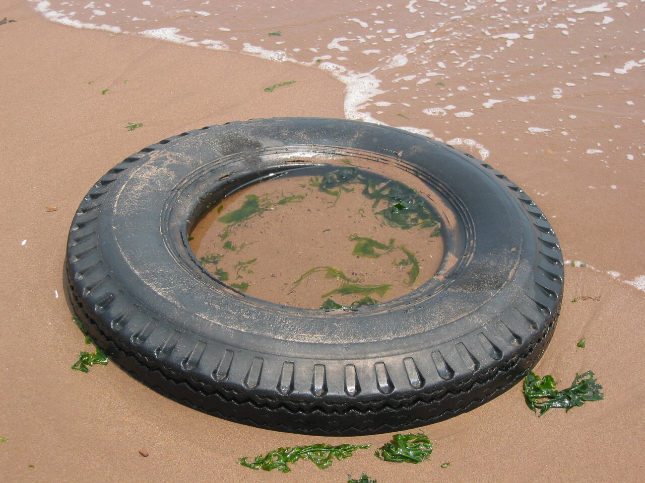   Tire, 11:54am, July 4, 2004. Oakwood Beach, Staten Island.  