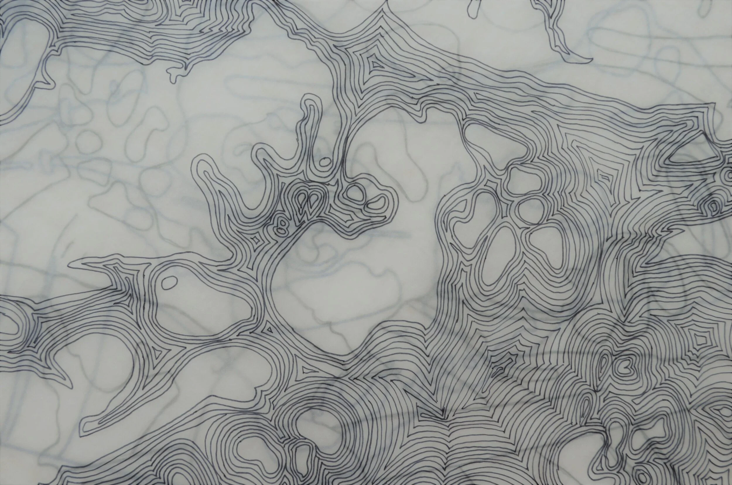 Imaginary Map: New York Harbor