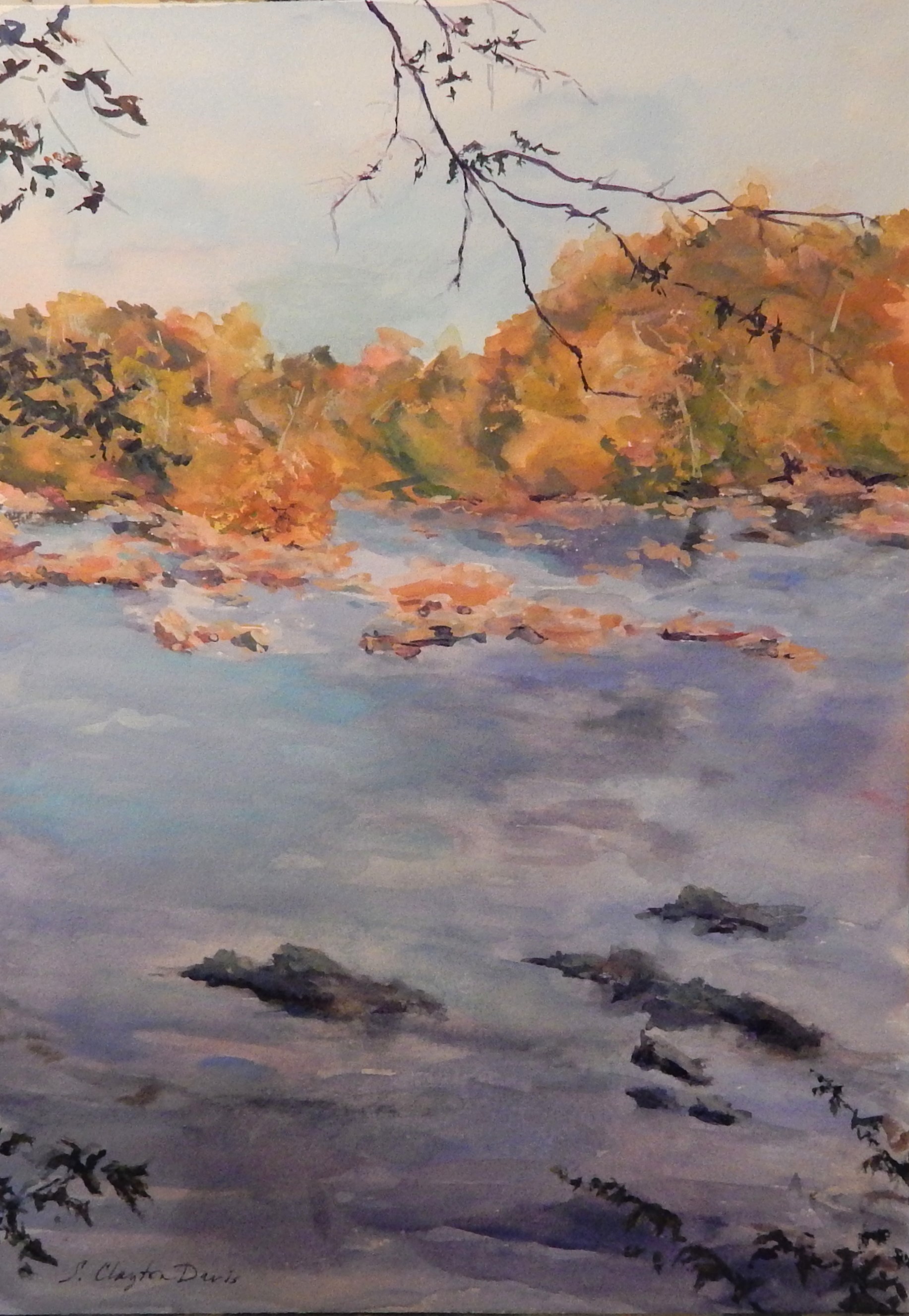 Potomac Golds and Blues