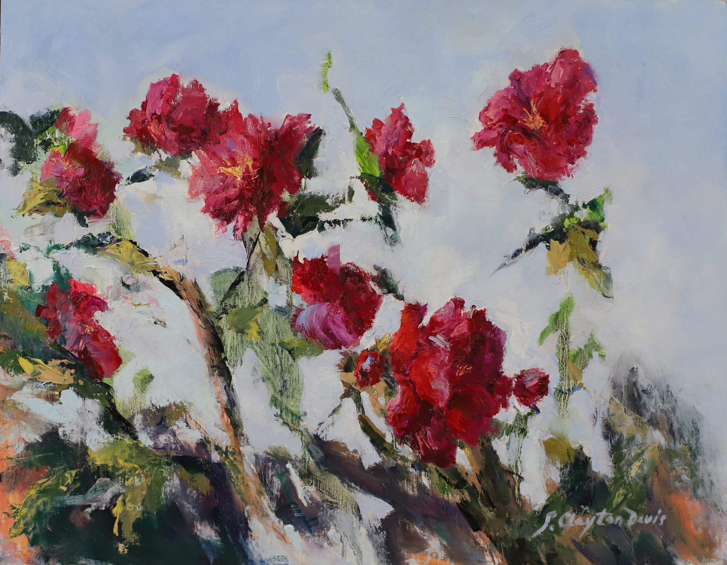 Camellias Reach the Sky