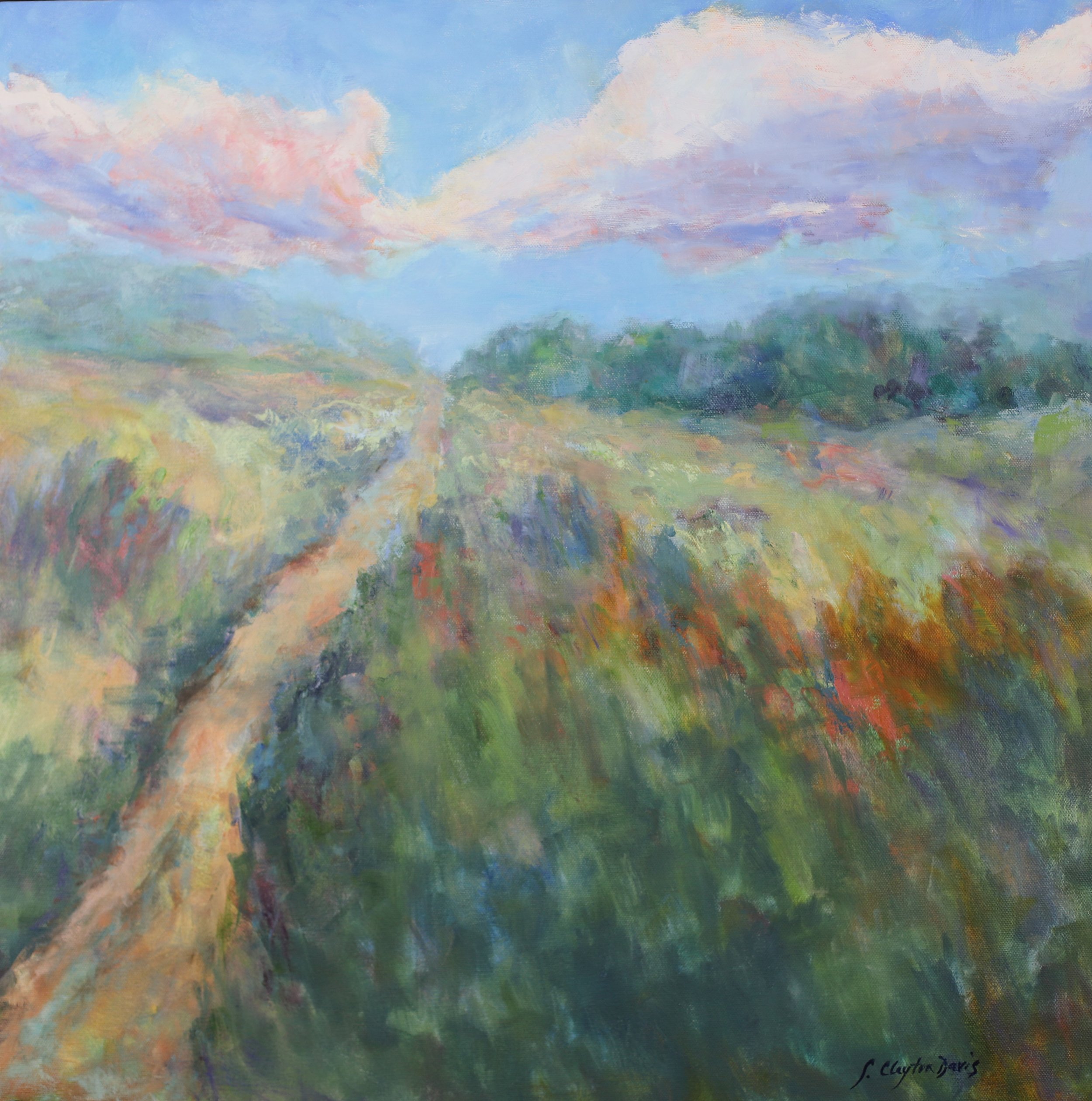 Path on a Gorgeous Day