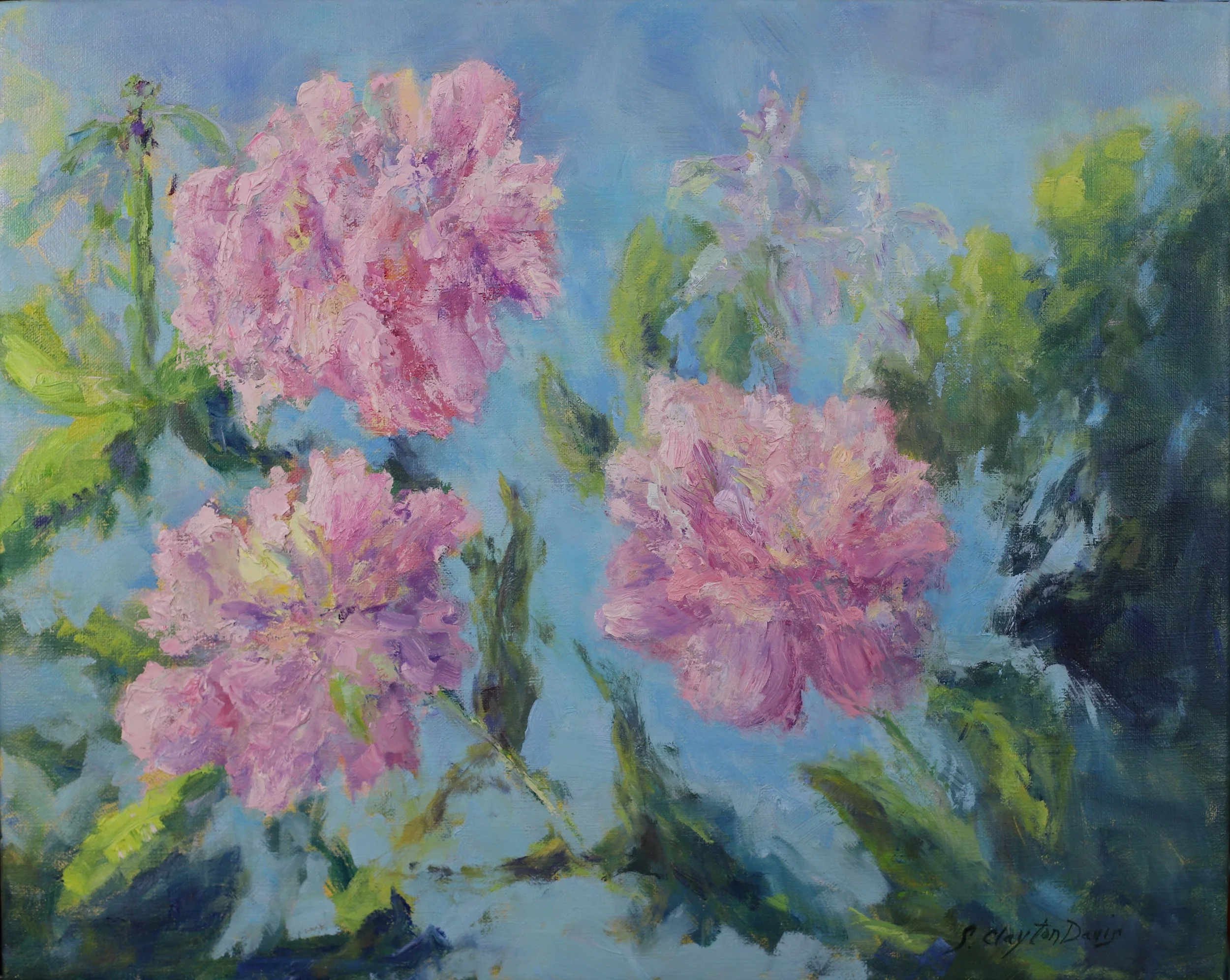 Peony Verve